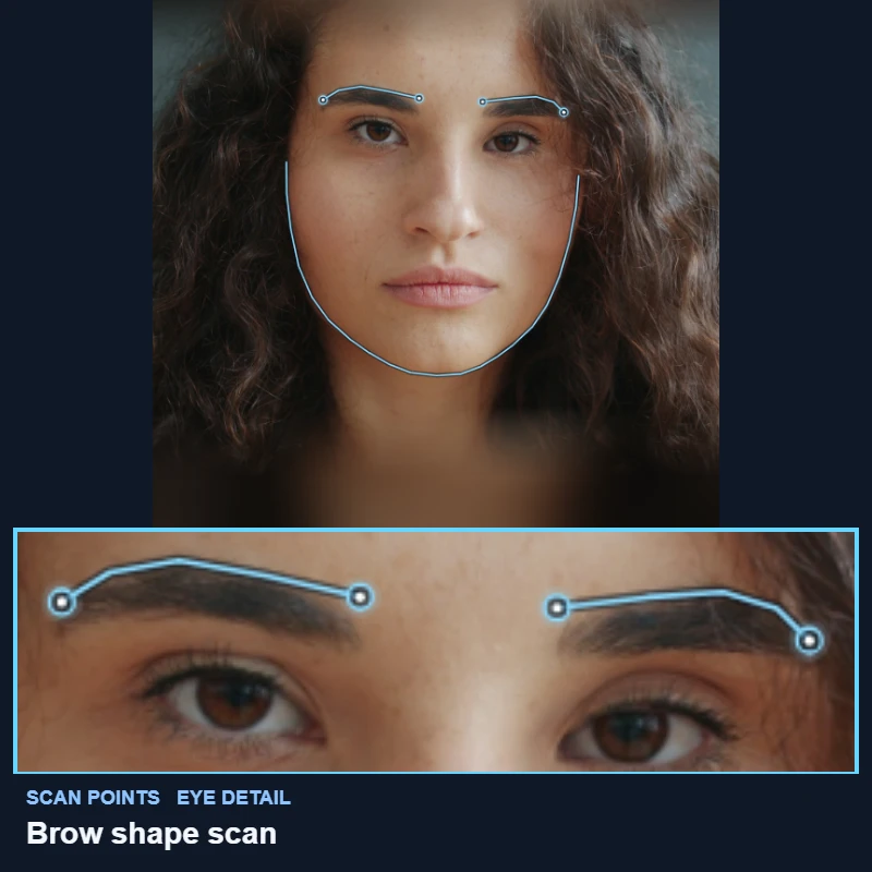Brow points from the inner end to the tail mapped on a demo portrait, with a close-up of both brows