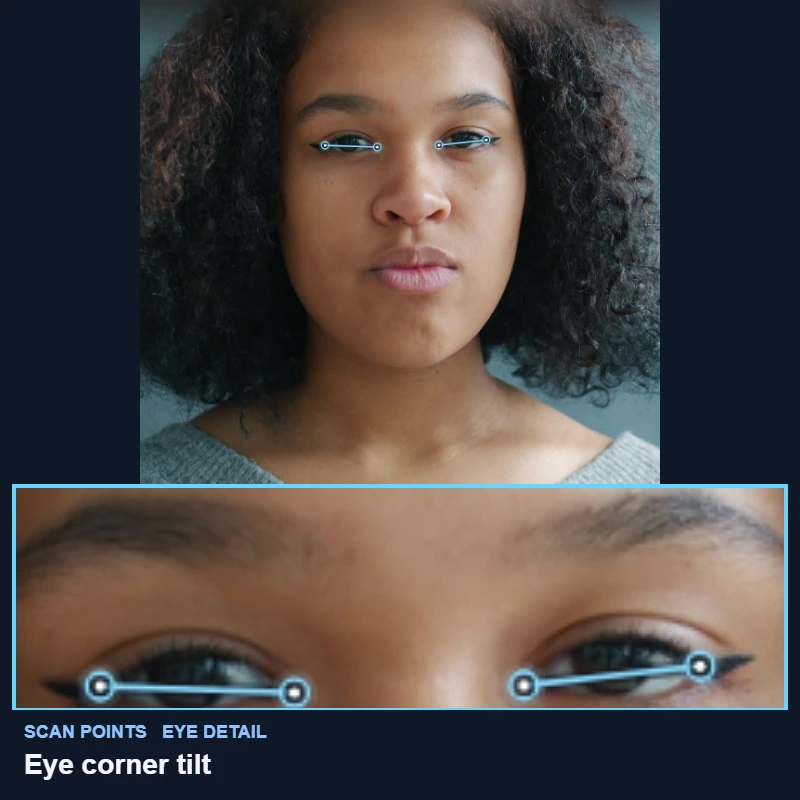 The eye corners the upturned eyes test reads drawn on a demo portrait