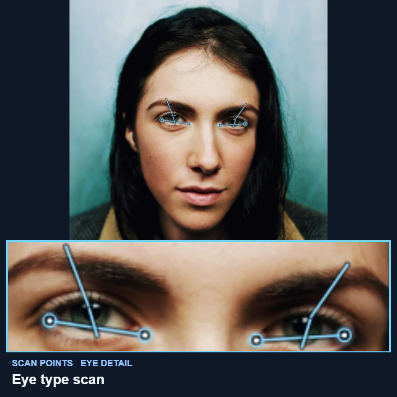Eye corner, lid and brow points mapped on a demo portrait, with a close-up of both eyes
