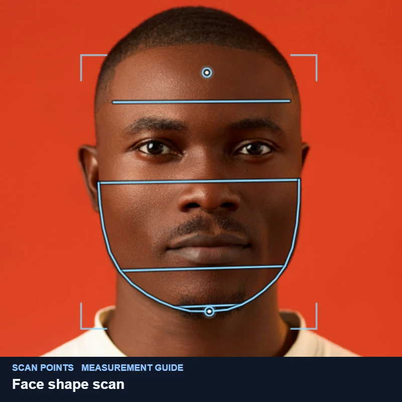 The forehead, cheekbone, jaw and chin widths the detector compares drawn on a demo portrait