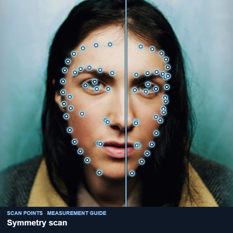 Mirrored landmark pairs across the face outline, brows, eyes, nose and lips of a demo portrait