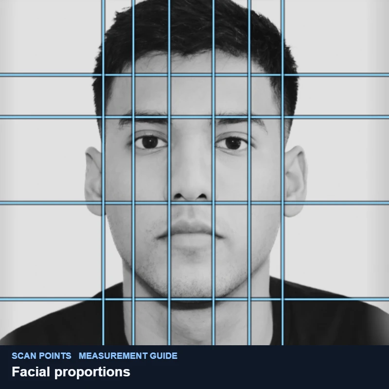 A grid of vertical and horizontal proportion lines over a demo portrait