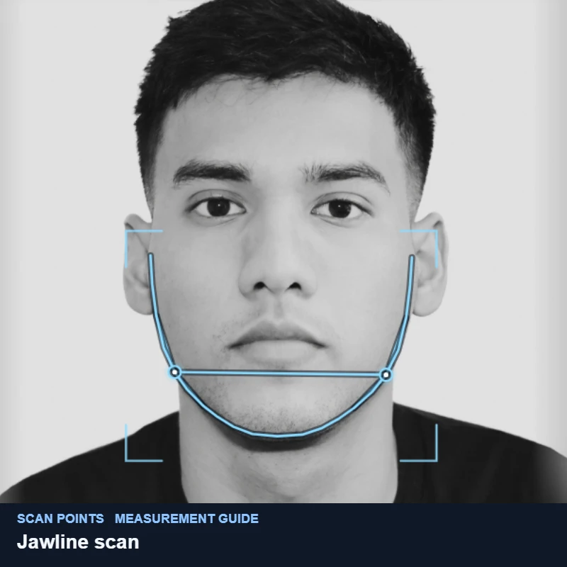 The jaw outline the jawline score traces on a demo portrait, from below each ear around the chin